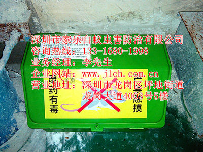 坪山專業除蟲滅鼠、白蟻防治