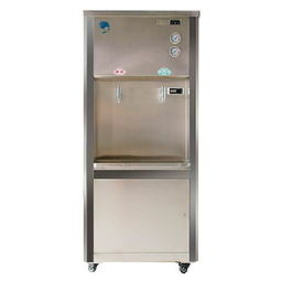 銀之源純水機(jī)RO C 04AX 400豪華款 打造家庭健康飲水新標(biāo)準(zhǔn)